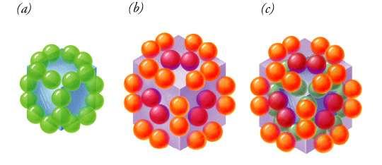 (a) 24 unità di diidrolipoil transacetilasi (E 2 ) circondate da (b) 24 unità di