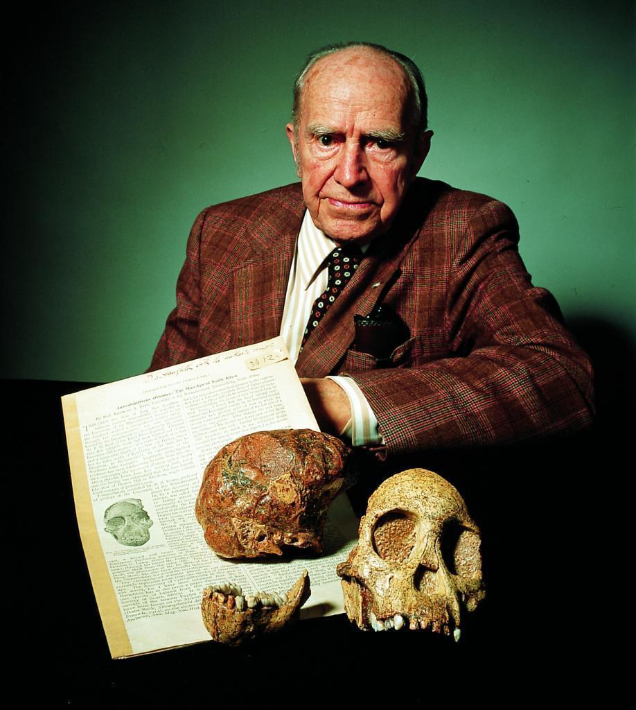 Raymond Dart: l uomo sanguinario assassino Lavorò in Sudafrica, scopritore del giovane di Australopithecus africanus poi definito giovane di Taung (1924), decise di studiare i reperti non