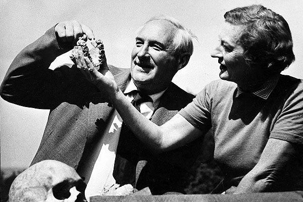 L alternativa di Leakey Nel 1959 Mary Leakey moglie di Louis Leakey rinvenne ad Olduvai Gorge un frammento di mandibola umana, era l Australopithecus robustus.