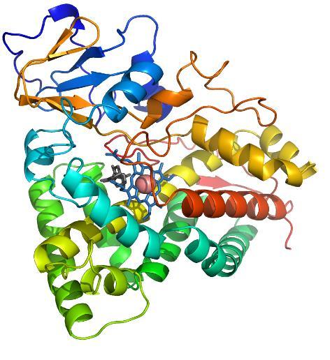 proteina. L atomo è un Fe III BS legato solo ad un atomo di S di una cisteina (RS - ).