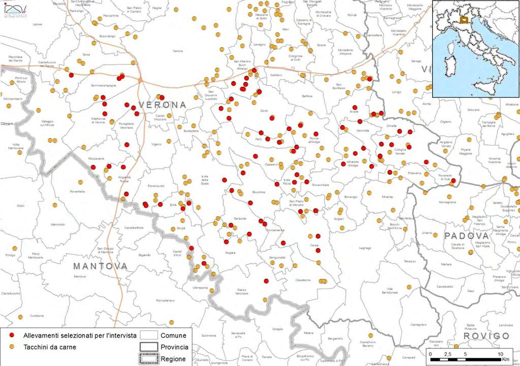 Progetto di Ricerca IZSVe: Analisi delle pratiche di monitoraggio, prevenzione e controllo dell influenza aviaria negli allevamenti avicoli industriali del Veneto (in collaborazione con