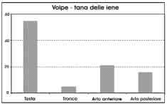 LA VOLPE NEL PLEISTOCENE SUPERIORE DELLA PUGLIA: INDICAZIONI PALEOAMBIENTALI 69 Fig. 8 - Percentuale delle regioni anatomiche di Vulpes vulpes di Tana delle Iene (BR). Fig. 8 - Percentage of anatomical parts of Vulpes vulpes from the Tana delle Iene (BR) site.