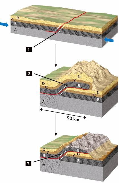 (ingl Thrust): faglia inversa con piano di faglia