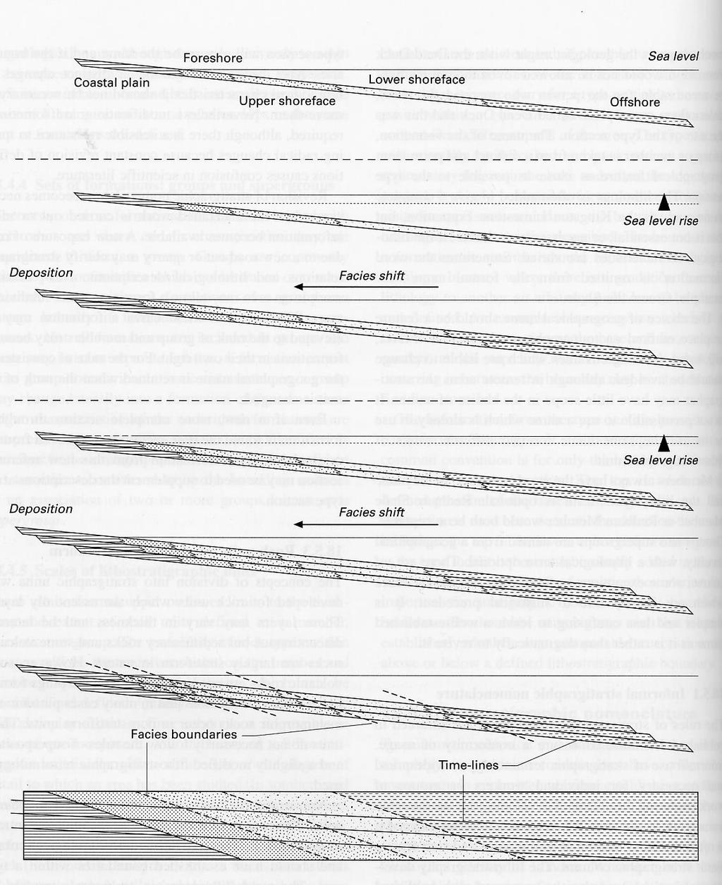 Slide precedente: sequenza sedimentaria regressiva Pianura costiera Spiaggia Amb.Litorale Amb. di piattaforma Regressione e trasgressione: variazioni relative del livello mare.