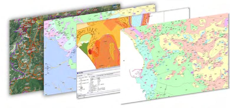 Carte tematiche La carta tematica è una rappresentazione di informazioni di diversa natura sul territorio regionale.