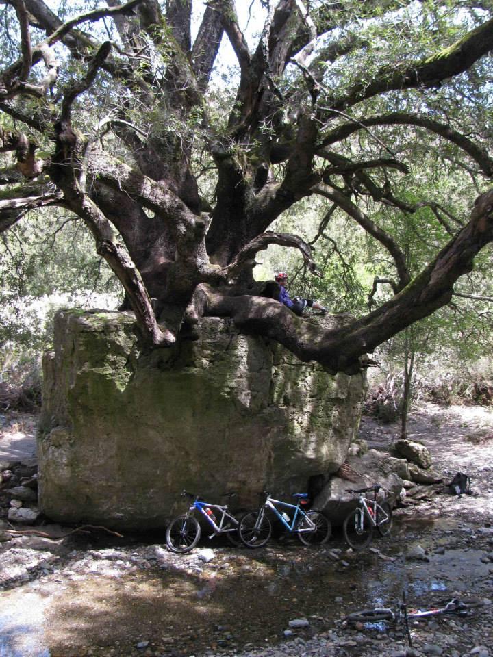 Riprese le bici, e ridiscesi al valico, proseguiremo sulla strada principale che perde quota sino a gutturu Nioi, per poi attraversare il canale di Vadde de s Ospile (1008m), dove risalendo una