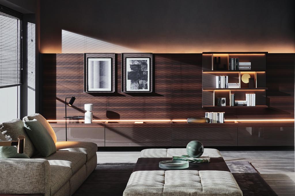 WALL PANELLING AND TRAYS EUCALYPTUS, HANGING STANDING CONTAINERS DOVE GREY GLOSSY LACQUER, BOOKCASE EUCALYPTUS / SHOWCASE LED LIGHTING EDGE CARPET