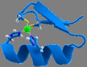 Proteine regolatrici (2) I motivi di legame al DNA sono sequenze