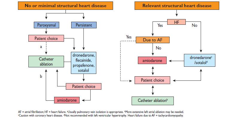 2012 focused update of the ESC Guidelines for the management of