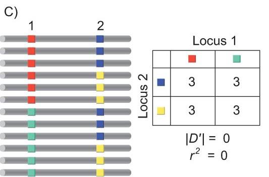 LD: scenari diversi(3) Total LE equilibrio di linkage