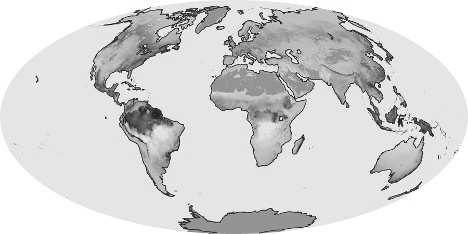 La produzione primaria netta della terra Stime NASA settembre 2012 (fonte: earthobservatory.nasa.