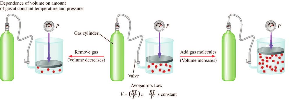 Avogadro