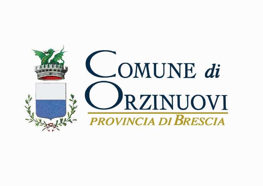 Comune di Orzinuovi Provincia di Brescia REGOLAMENTO COMUNALE PER LA DISCIPLINA DELL ALBO