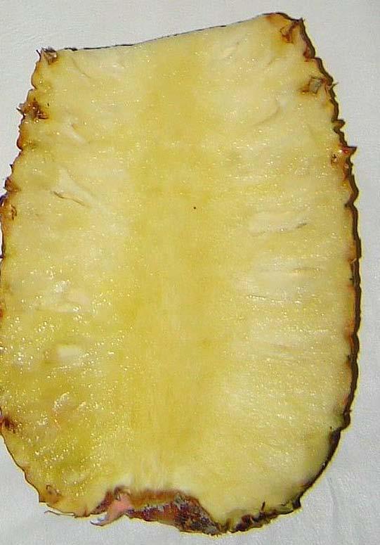 Sorosio: frutto composto formato da più di due frutticini carnosi, tipo