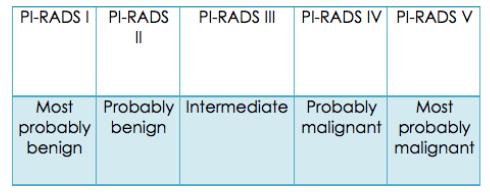 PI-RADS v2