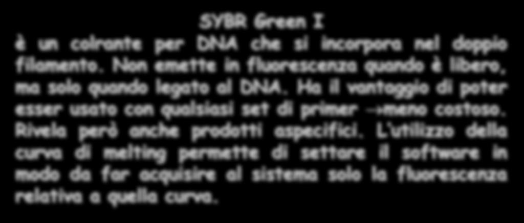 SYBR Green I è un colrante per DNA che si incorpora nel doppio filamento. Non emette in fluorescenza quando è libero, ma solo quando legato al DNA.