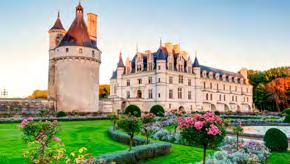 Zámok Amboise je historicky významnou budovou vo Francúzsku vôbec a zámok Clos Lucé s krásnym výhľadom na údolie rieky Loire si pamätá časy, keď tu niekoľko rokov svojho života strávil aj geniálny