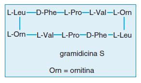Le gramicidine: antibiotici polipeptidici Gramicidina S polipeptide ciclico con amminoacidi D Agisce alterando la permeabilità ionica della membrane batteriche.