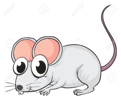 soggetto è allergico Ratti e topi Fra le malattie diffuse dai ratti e dai topi estremamente importanti sono il tifo murino, diffuso dalle zecche e dagli acari parassitoidi dei ratti, la leptospirosi,