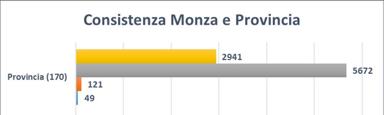 Le 236 strutture ricettive erano così suddivise sul territorio: n. 66 strutture presenti a Monza con una capacità ricettiva di 1897 posti letto (25%) e 819 camere (22%); n.