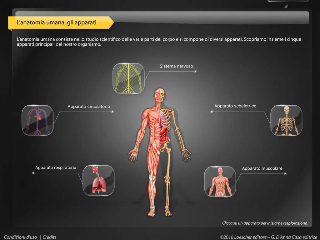 Tutti i nostri testi 2016-2017 sono affiancati da un app dedicata allo studio dei principali sistemi del corpo umano, APPunti di