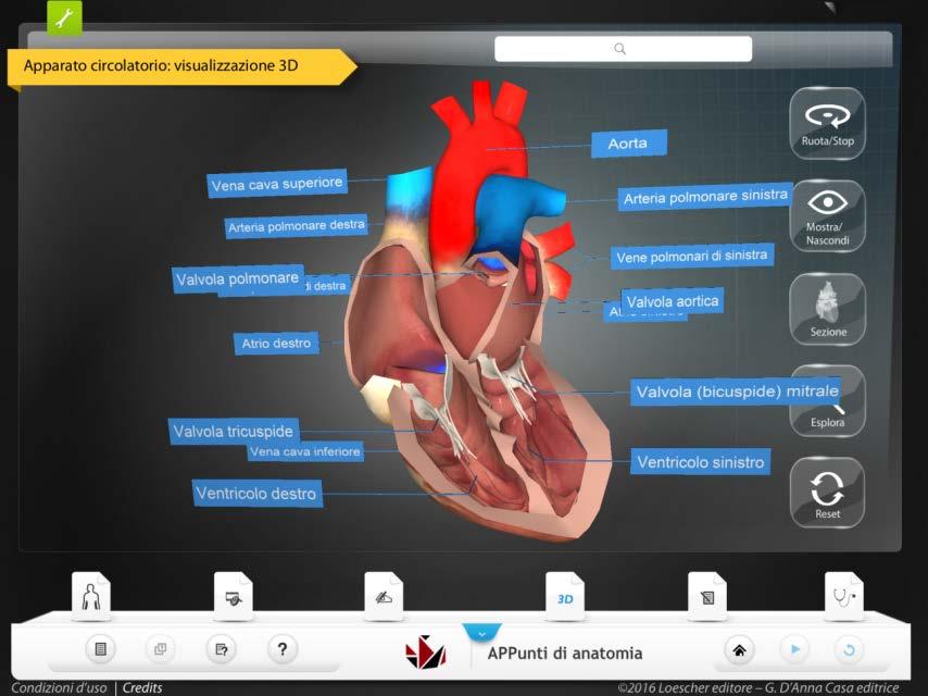 Alcune caratteristiche dell app 1.