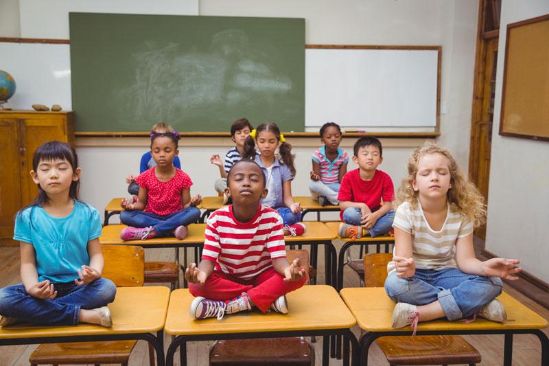 Corso intensivo in mindfulness e Quota di iscrizione e partecipazione La quota di partecipazione comprende: la frequenza alle lezioni, le dispense inviate via mail; il materiale didattico; l