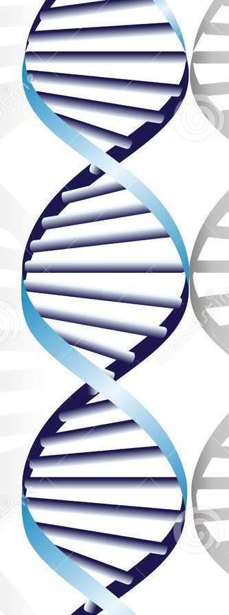 Sostenibilità La sostenibilità è nel DNA del mangimista Valorizzazione dei co-prodotti Cruscami Farine di proteaginose