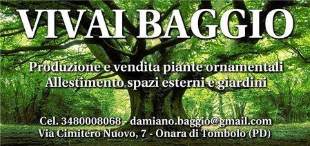 AVVISO I SOCI DELLA CASTELLANA ORNITOLOGICA SI INCONTRANO