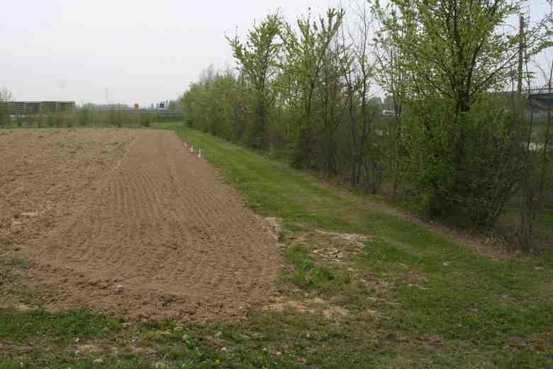 Misure complementari per contenere le perdite di nitrati Il progetto ha preso in considerazione anche misure complementari per contenere le perdite di nutrienti nel suolo.