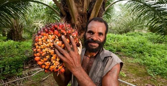 oltre al cloruro di sodio, un contenuto da non sottovalutare di sali minerali come calcio, magnesio, potassio, ferro, rame e iodio 4) Olio di palma Ecco un altro ingrediente onnipresente in numerosi