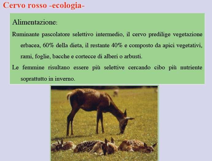 Biologia e riconoscimento