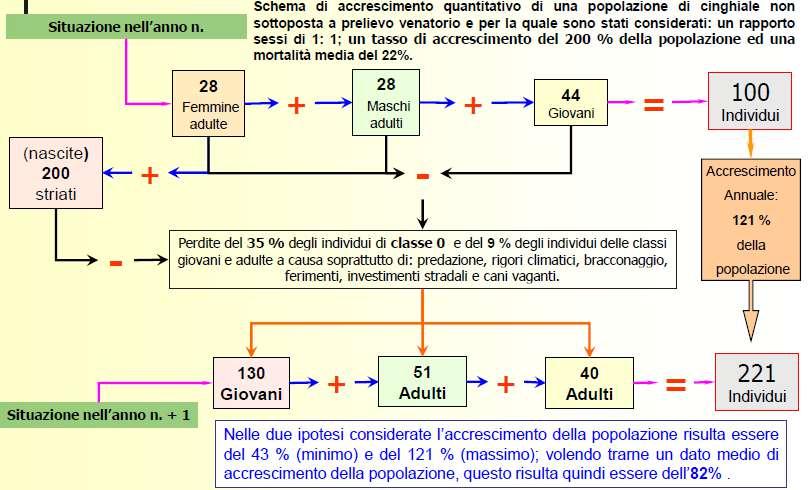 Biologia e riconoscimento