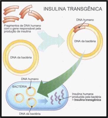 Origine - estrattivi dal regno vegetale: es. digossina (glicoside cardioattivo) da procarioti: es. eritromicina (antibiotico) da funghi: es. penicillina-g (antibiotico) dal regno animale: es.