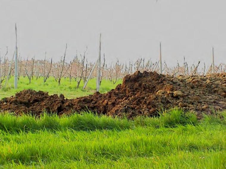 La SO è un complesso miscuglio di composti del carbonio che può essere definita come l insieme