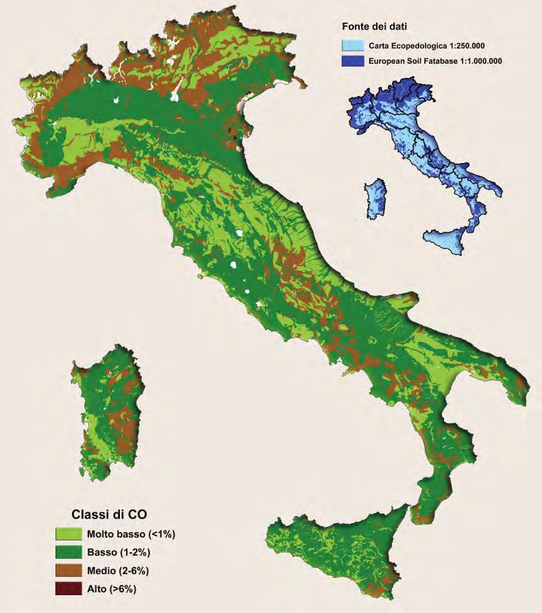 Stima del Carbonio Organico presente nei suoli italiani : L 80% dei suoli italiani ha un