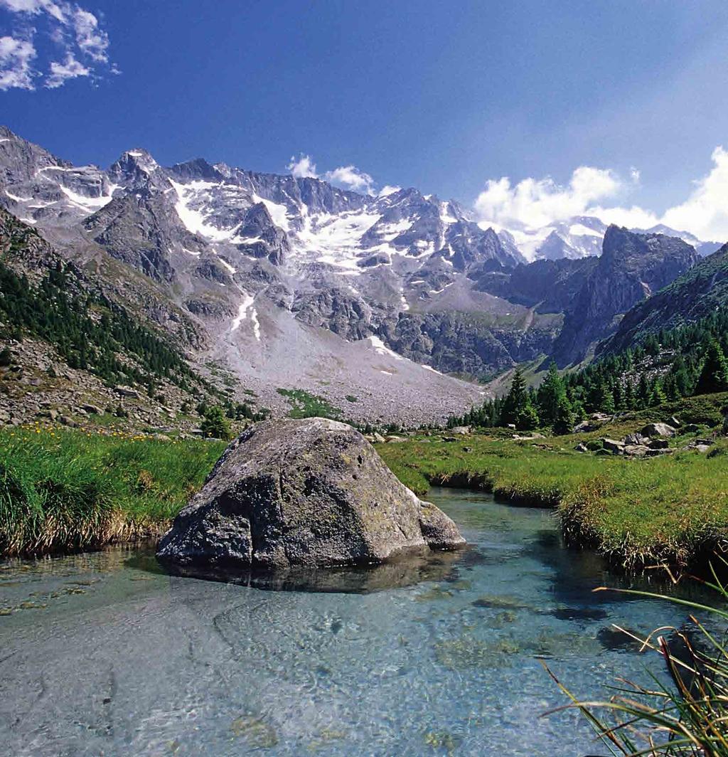 Mercoledì ESCURSIONE STORICO-PAESAGGISTICA AL GHIACCIAIO PRESENA 9.00 Trasporto: cabinovie Ponte-Tonale, Paradiso e Presena a prezzo convenzionato Ritrovo: ore 9.