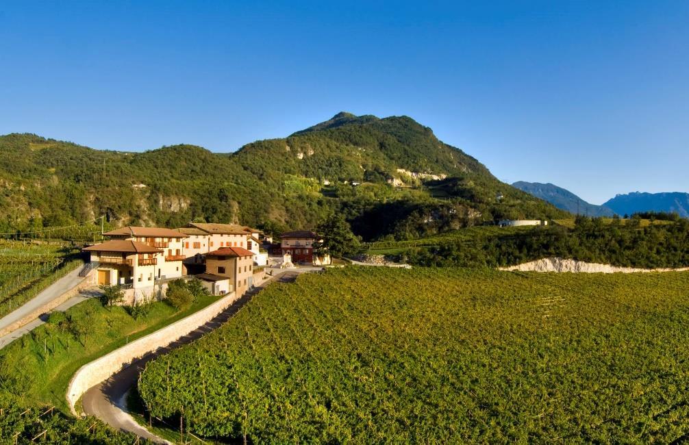 MOSER Le colline a nord di Trento nascondono un piccolo tesoro dell enologia italiana, la cantina di Francesco Moser: il Maso Villa Warth.