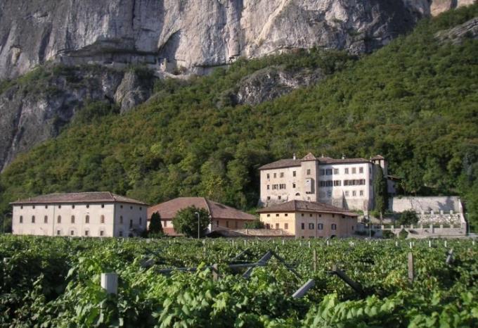 Con una gestione sempre più rispettosa del territorio, Giulio coltiva i suoi sei ettari, coccolando le vecchie vigne, a cui ha deciso di aggiungerne di nuove.