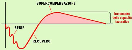 Hartmann: - La supercompensazione di Jakovlev è un mito.