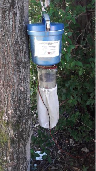 Trappole attrattive Il monitoraggio mediante posizionamento periodico di trappole attrattive consente di catturare le femmine di zanzara in cerca del pasto di sangue e di ottenere dei dati oggettivi