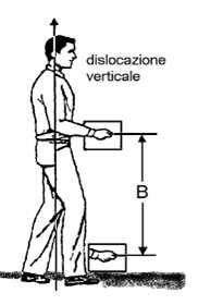 Stima del fattore dislocazione verticale (B) La dislocazione verticale di spostamento (S) è data dallo spostamento verticale delle mani durante il.