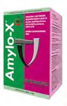 Amylo-X Fungicida e battericida microbiologico a base di Bacillus amyloliquefaciens, ceppo D747 agrofarmaci COMPOSIZIONE: 100 g di prodotto contengono: Bacillus amyloliquefaciens, subspecie