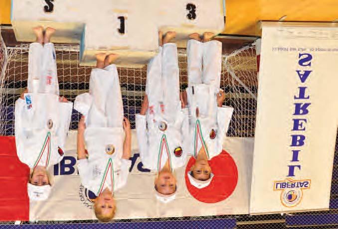 La Libertas sul territorio A Rimini il campionato nazionale Libertas di karate tradizionale Recentemente nel Palaflaminio di Rimini si sono svolte le gare del Campionato Nazionale Libertas 2014 di