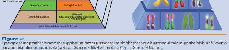 corretta nutrizione ad una piramide che adegua la nutrizione al