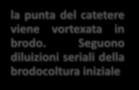 brodocoltura iniziale rollare 4-5 volte la