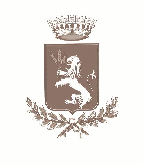 COMUNE DI TORRITA DI SIENA Provincia di Siena COPIA DELIBERAZIONE DELLA GIUNTA COMUNALE Numero Data Oggetto 171 17/10/2014 Amministratori Comunali. Indennità di funzione. Determinazioni.