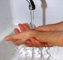 disinfettare spesso le mani tra una lavorazione sporca e una pulita L operatore può veicolare