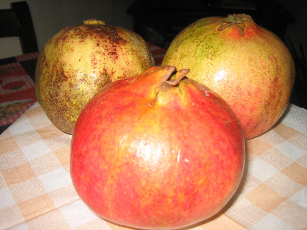 Es. : Il melograno Il frubo del melograno è tra i più ricchi di ancossidanc.