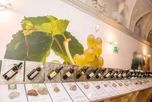 EVENTI A PALAZZO ROCCABRUNA - TRENTO 22 cantine espongono il Vino Nosiola, il Trentino DOC Vino Santo, le grappe monovitigno di Nosiola e di vinaccia di Trentino DOC Vino Santo a Palazzo Roccabruna